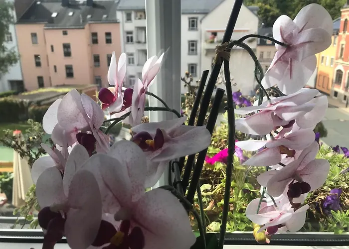Apartment Enno